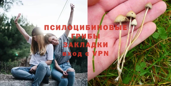 гидропоника Арсеньев