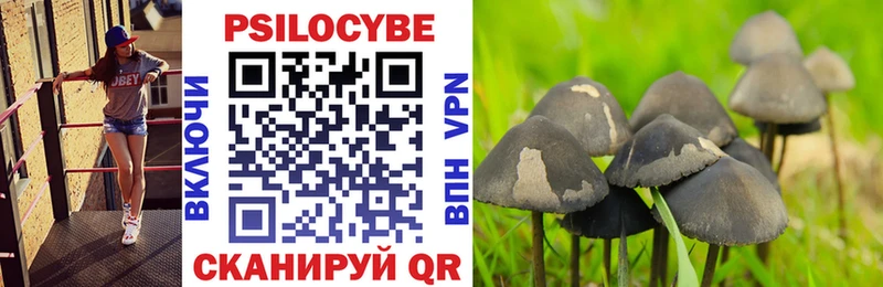 Галлюциногенные грибы Magic Shrooms  где можно купить наркотик  Белоусово 